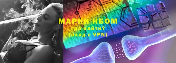 СК Медногорск