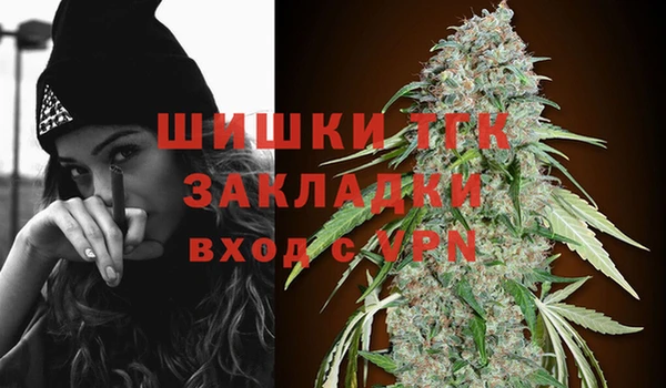 2c-b Мегион