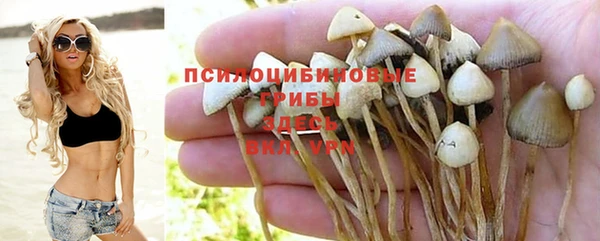 СК Медногорск