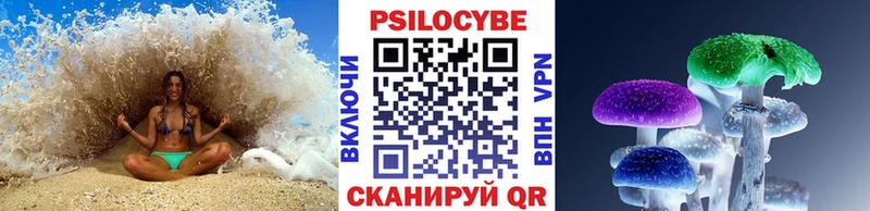 Галлюциногенные грибы мухоморы  где купить наркоту  Шенкурск 